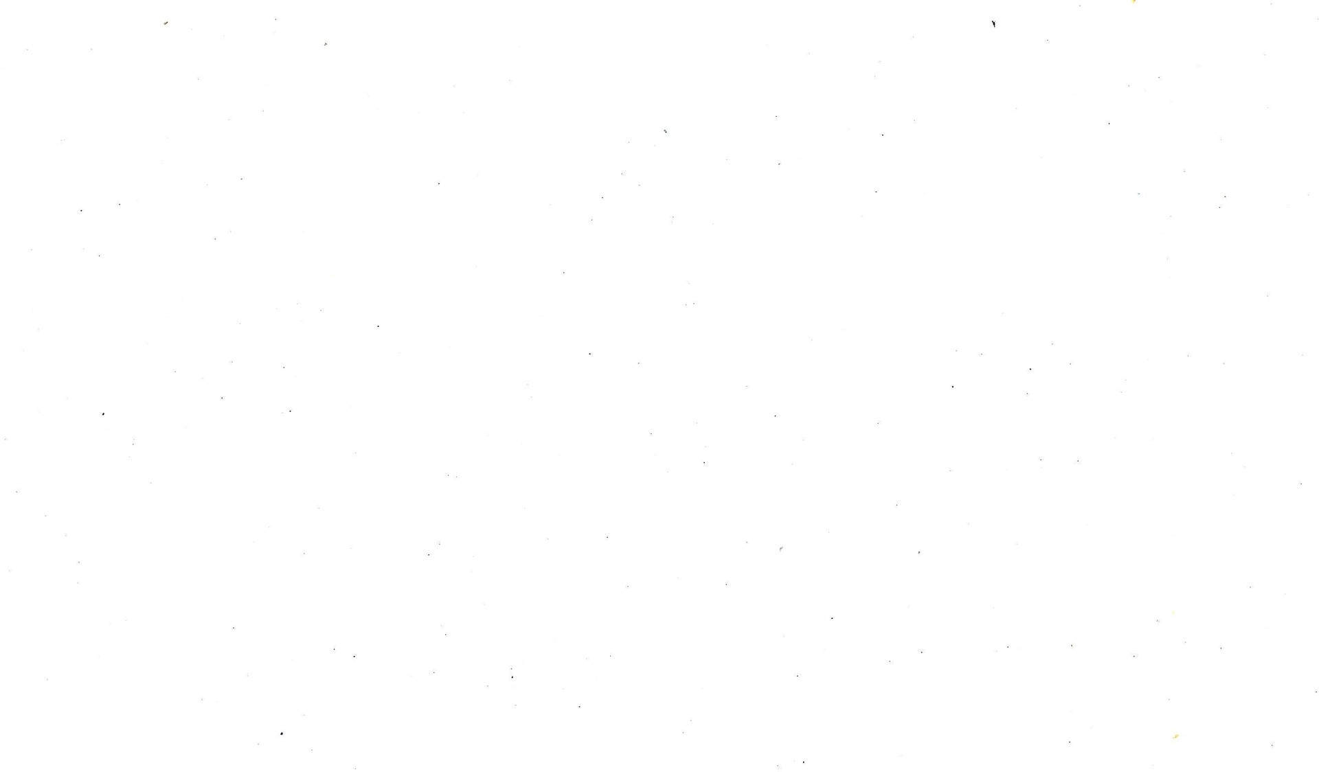 blank-white- blank-white-